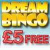 Play Online Bingo